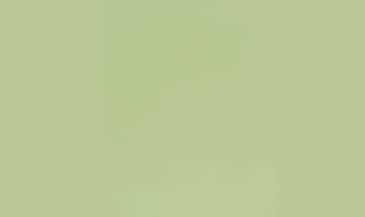 Mystery Box Bundle open showing mystery product silhouette